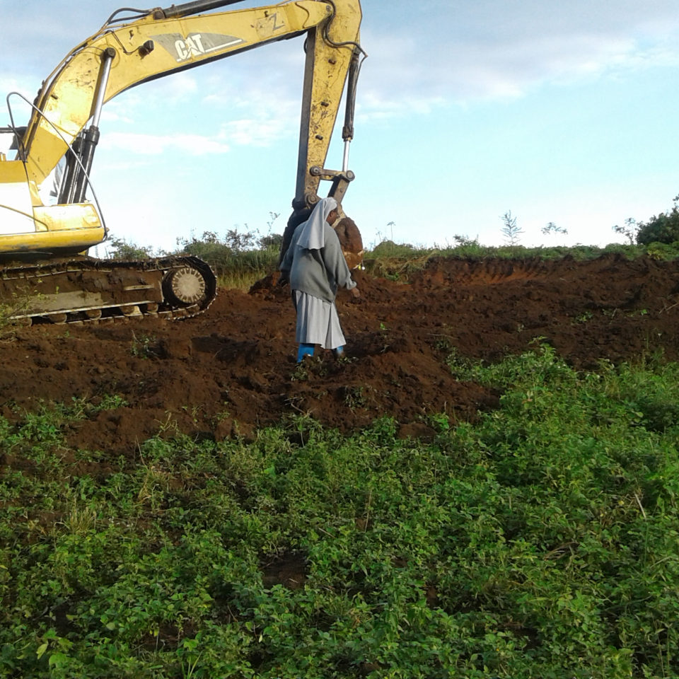 Sister on site during site clearing process